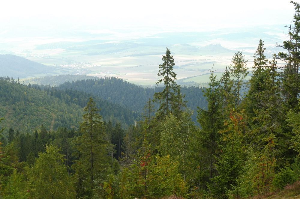  Levočské vrchy a Branisko 