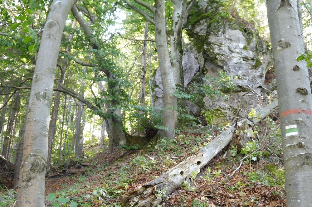  Levočské vrchy a Branisko 