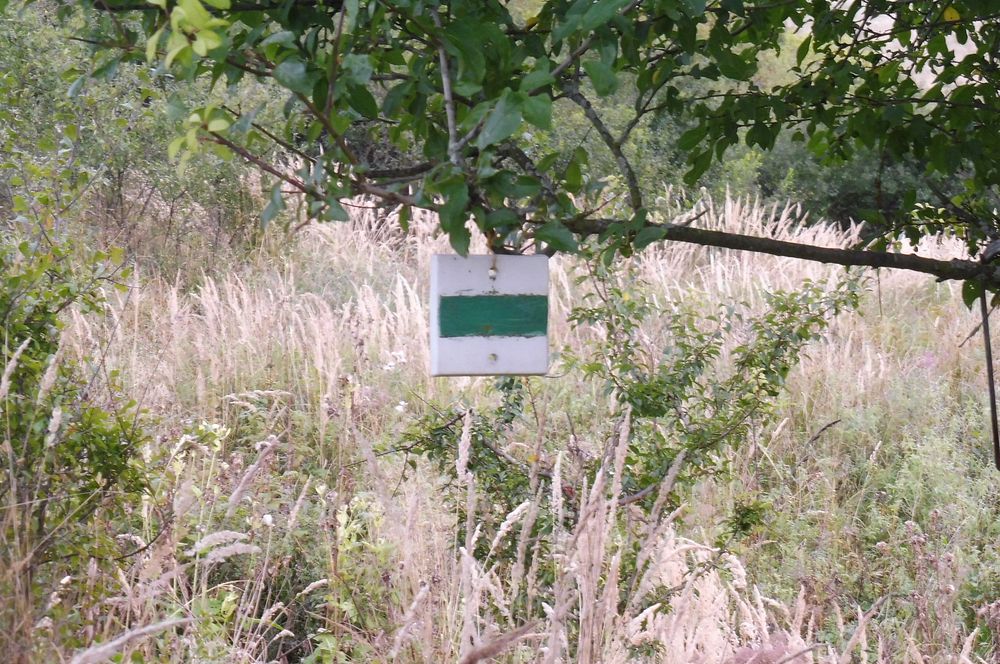  Levočské vrchy a Branisko 