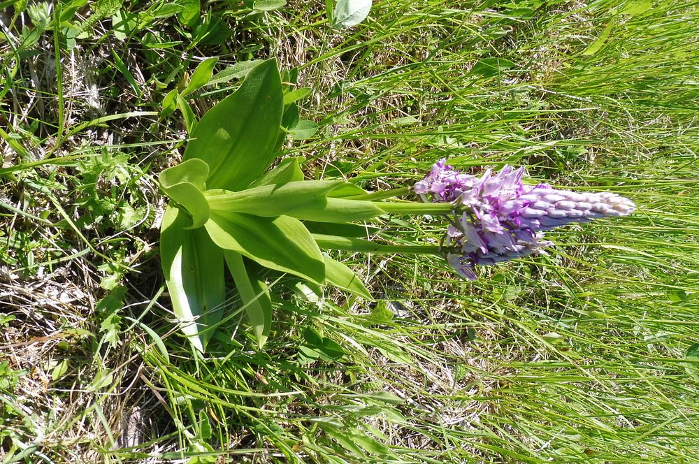  Loukami Bílých Karpat na Velkou Javořinu  