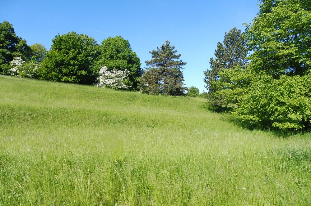  Loukami Bílých Karpat na Velkou Javořinu  