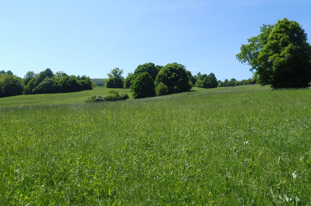  Loukami Bílých Karpat na Velkou Javořinu  