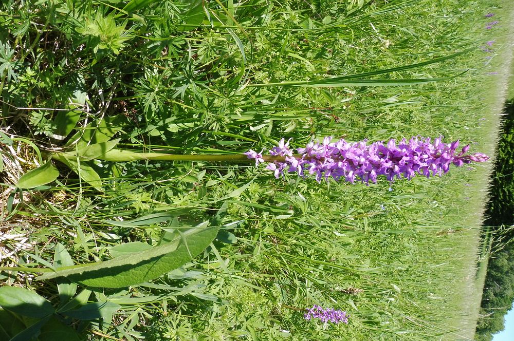  Loukami Bílých Karpat na Velkou Javořinu  