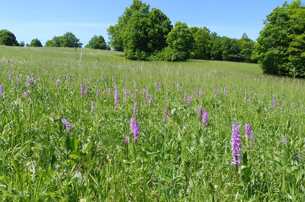  Loukami Bílých Karpat na Velkou Javořinu  