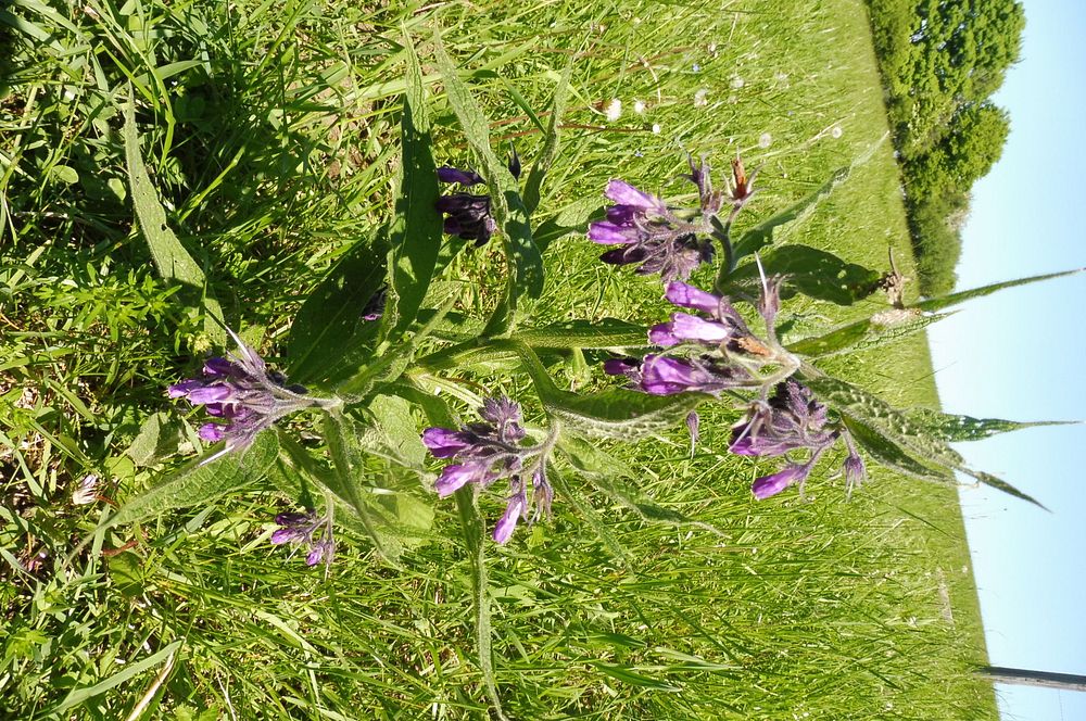  Loukami Bílých Karpat na Velkou Javořinu  