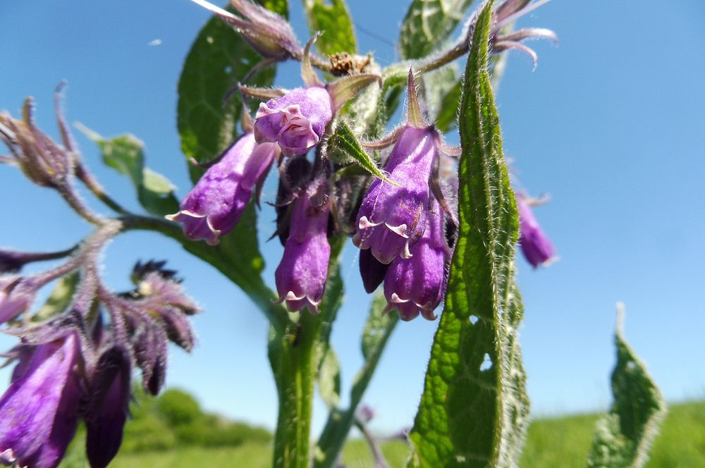  Loukami Bílých Karpat na Velkou Javořinu  