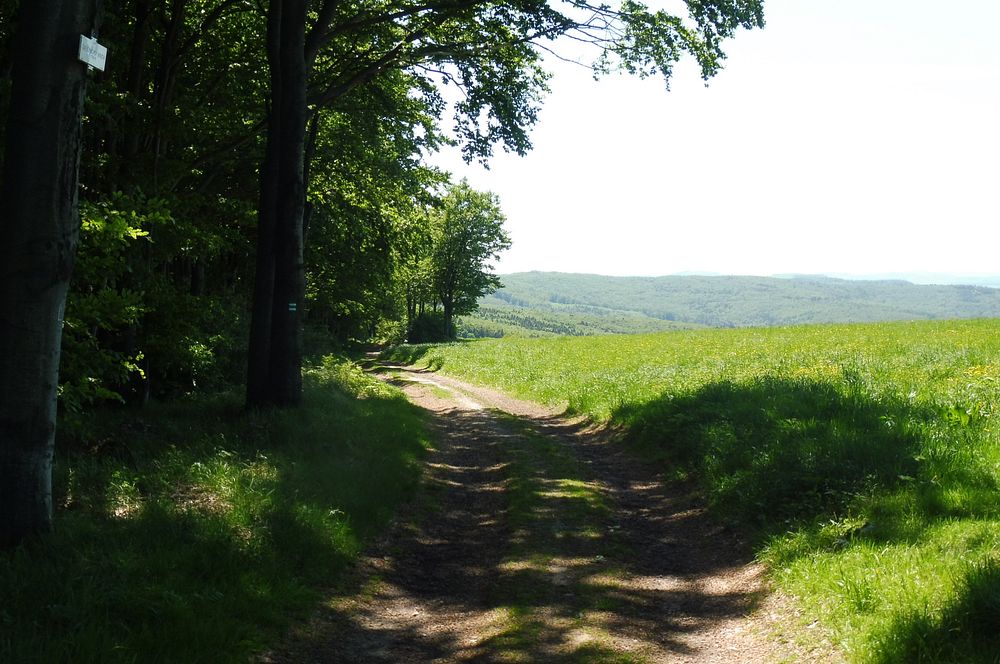  Loukami Bílých Karpat na Velkou Javořinu  