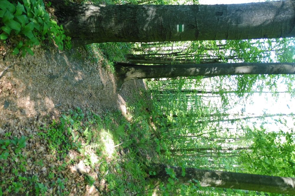  Loukami Bílých Karpat na Velkou Javořinu  