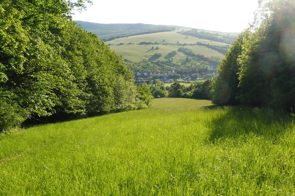  Loukami Bílých Karpat na Velkou Javořinu  