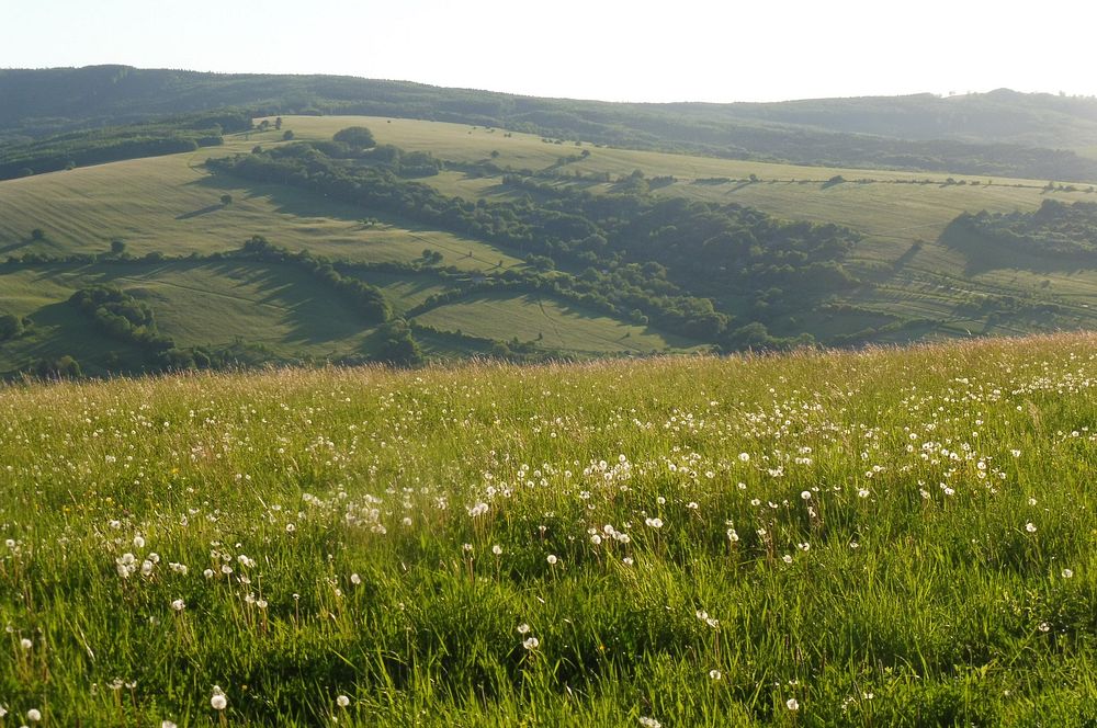  Loukami Bílých Karpat na Velkou Javořinu  