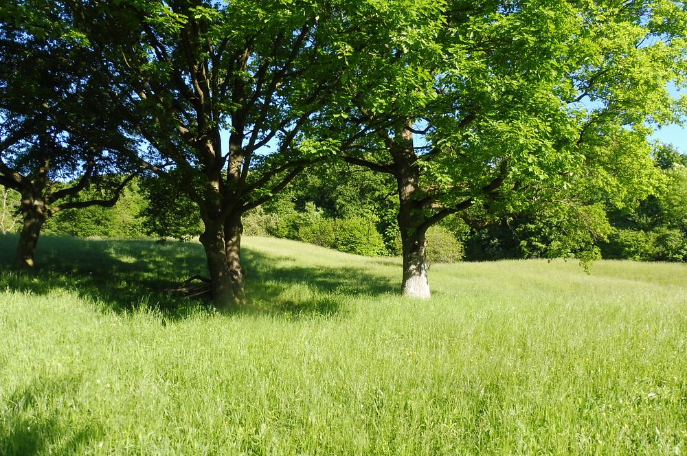  Loukami Bílých Karpat na Velkou Javořinu  