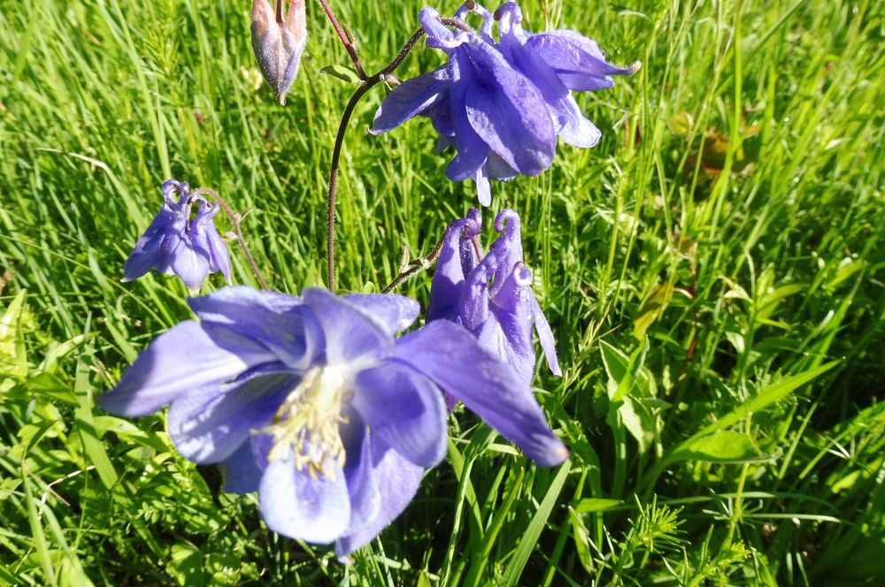  Loukami Bílých Karpat na Velkou Javořinu  