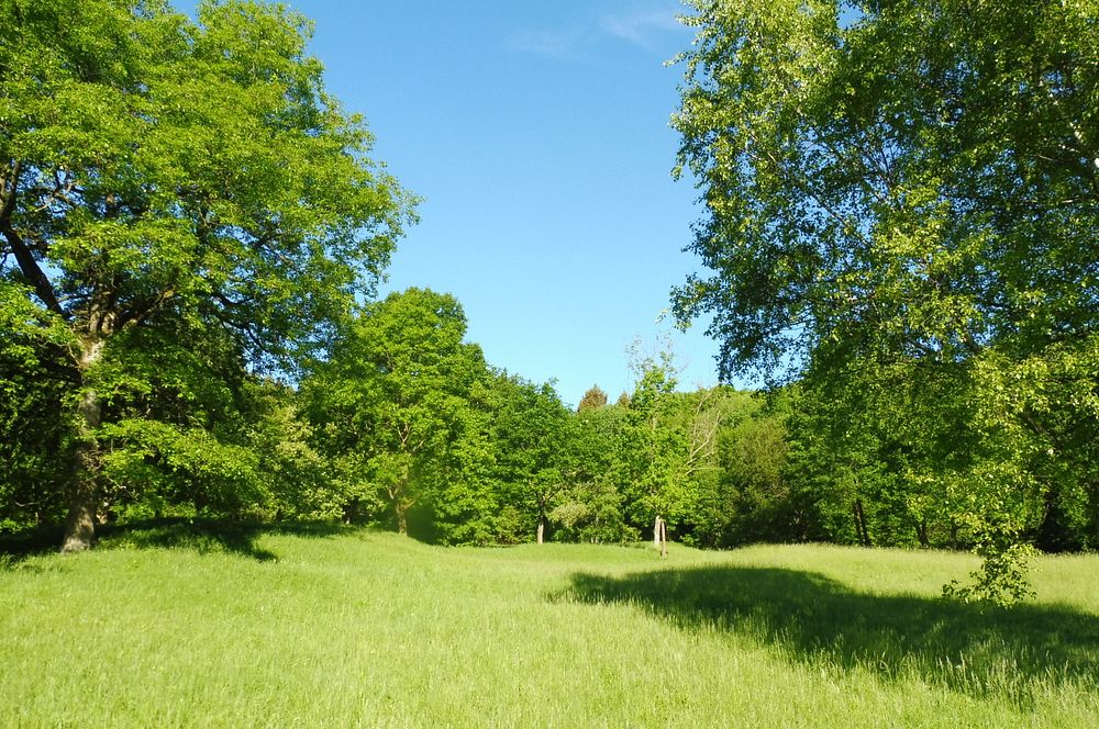  Loukami Bílých Karpat na Velkou Javořinu  