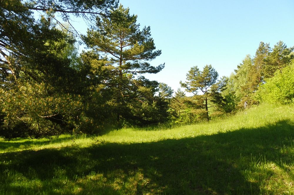  Loukami Bílých Karpat na Velkou Javořinu  