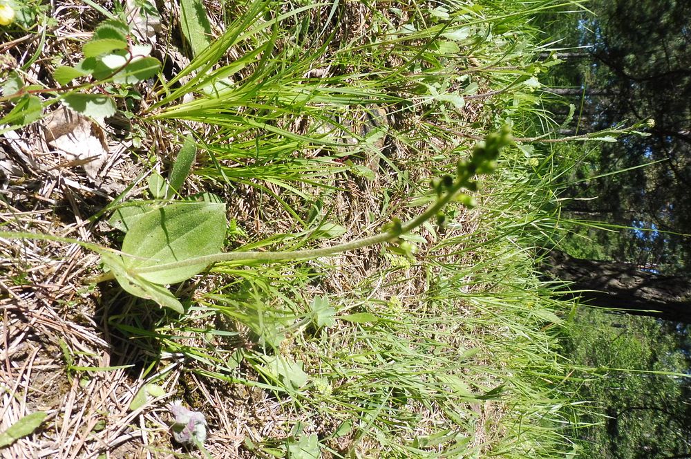  Loukami Bílých Karpat na Velkou Javořinu  
