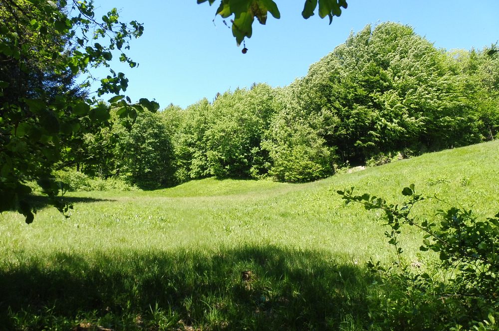  Loukami Bílých Karpat na Velkou Javořinu  