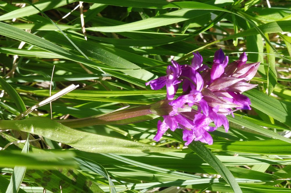  Loukami Bílých Karpat na Velkou Javořinu  