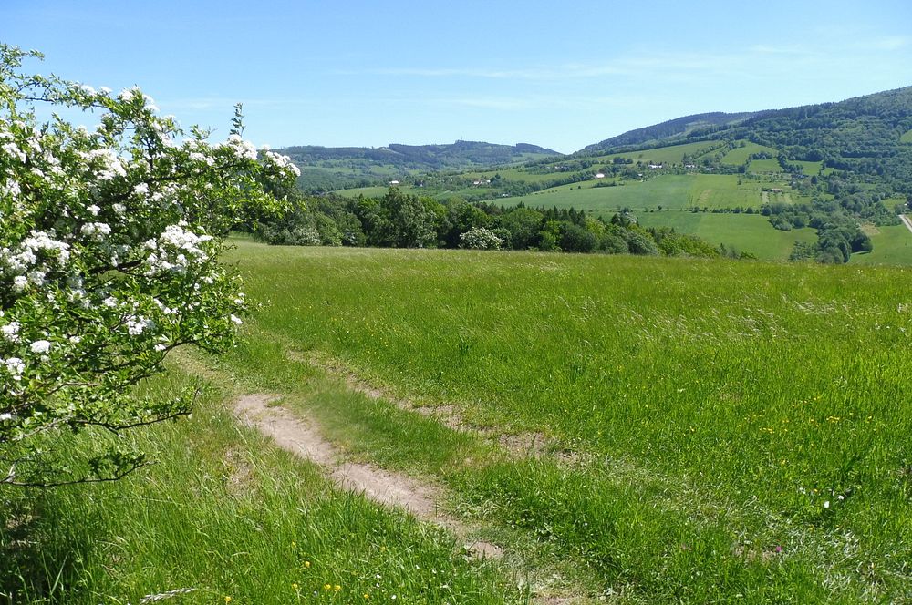  Loukami Bílých Karpat na Velkou Javořinu  