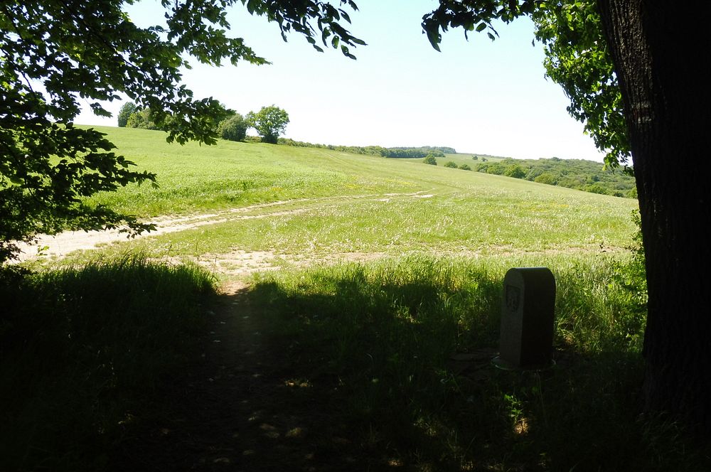  Loukami Bílých Karpat na Velkou Javořinu  