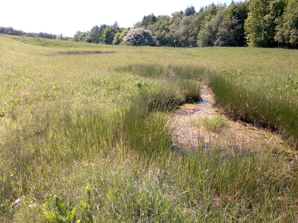  Loukami Bílých Karpat na Velkou Javořinu  