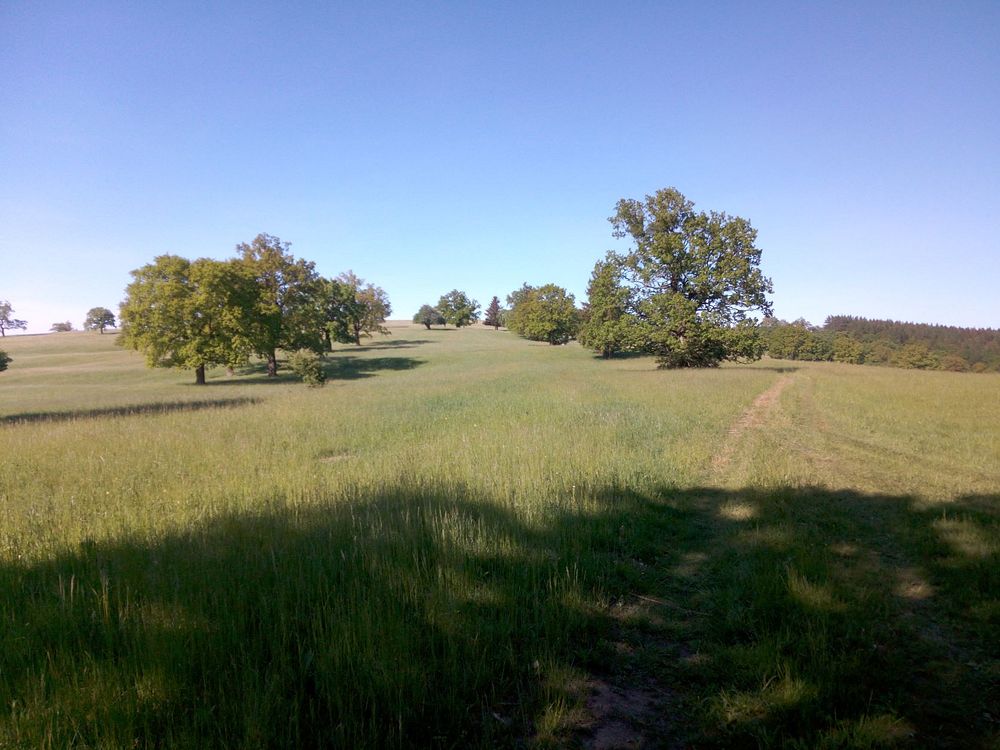  Loukami Bílých Karpat na Velkou Javořinu  