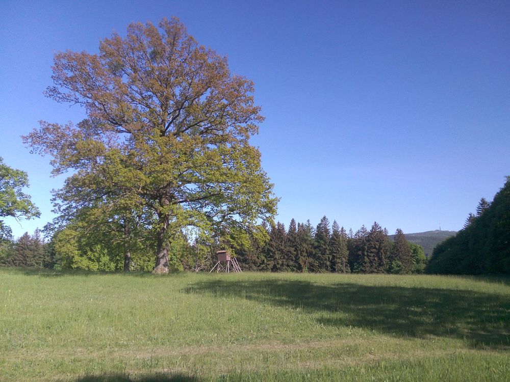  Loukami Bílých Karpat na Velkou Javořinu  