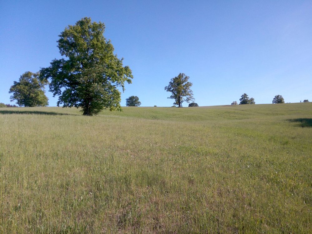  Loukami Bílých Karpat na Velkou Javořinu  