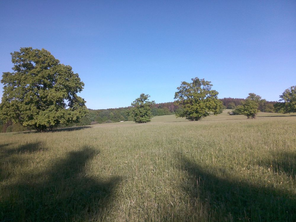  Loukami Bílých Karpat na Velkou Javořinu  