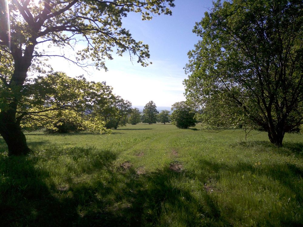 Loukami Bílých Karpat na Velkou Javořinu  