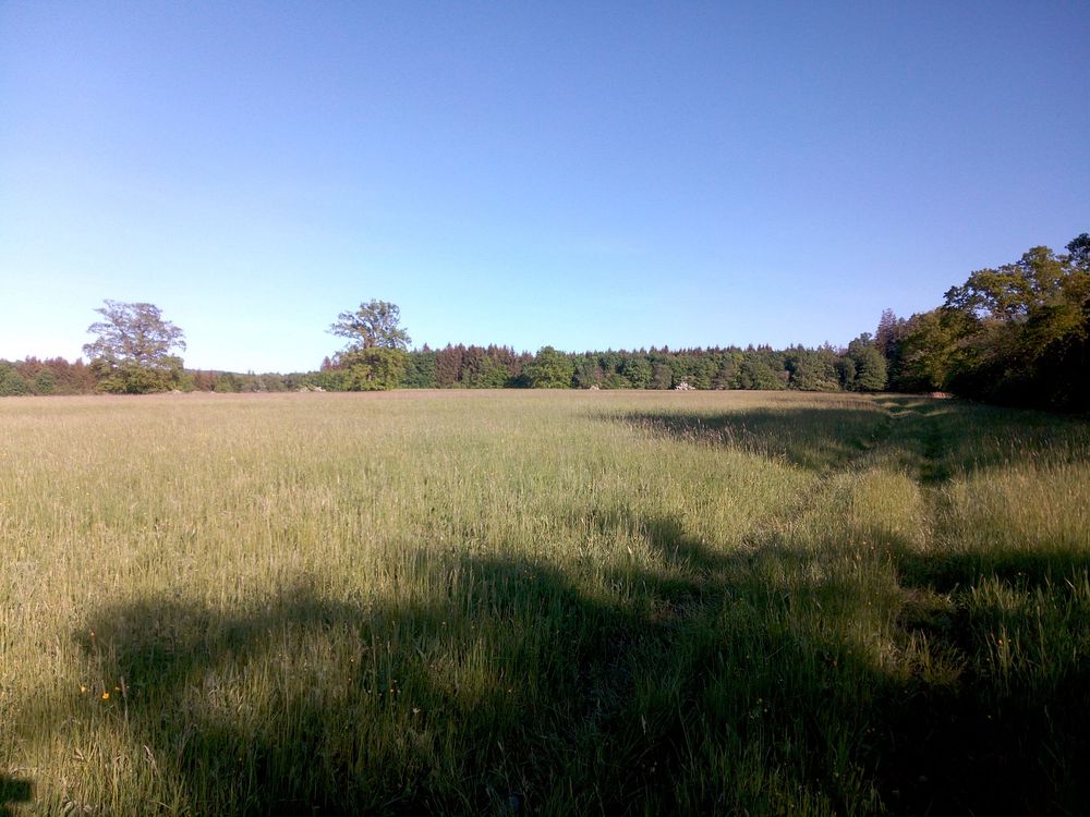  Loukami Bílých Karpat na Velkou Javořinu  