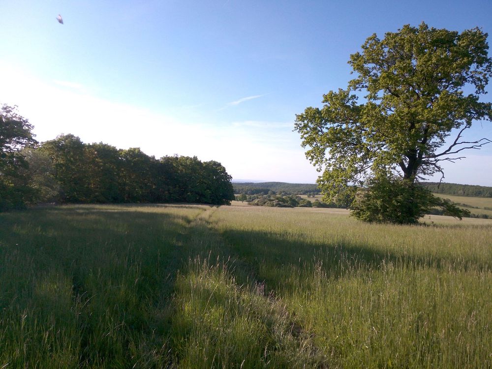  Loukami Bílých Karpat na Velkou Javořinu  