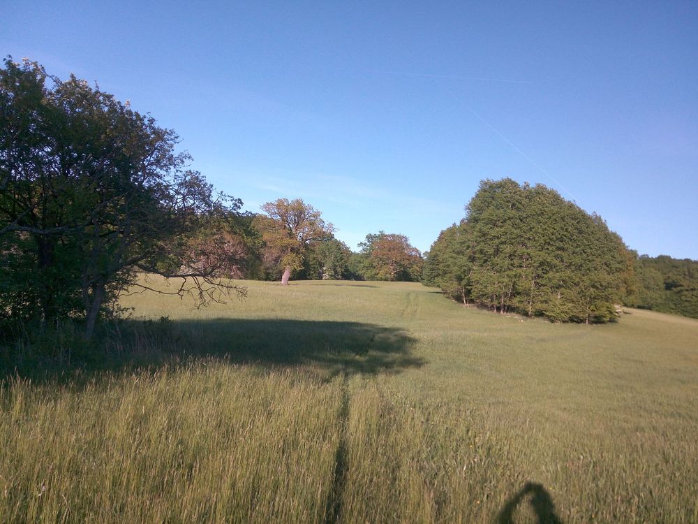  Loukami Bílých Karpat na Velkou Javořinu  