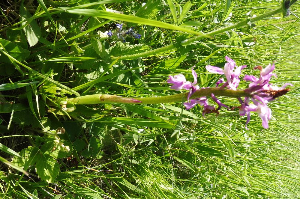  Loukami Bílých Karpat na Velkou Javořinu  