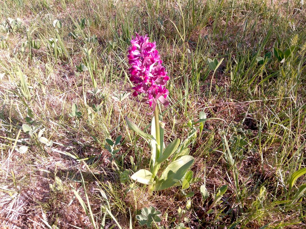  Loukami Bílých Karpat na Velkou Javořinu  