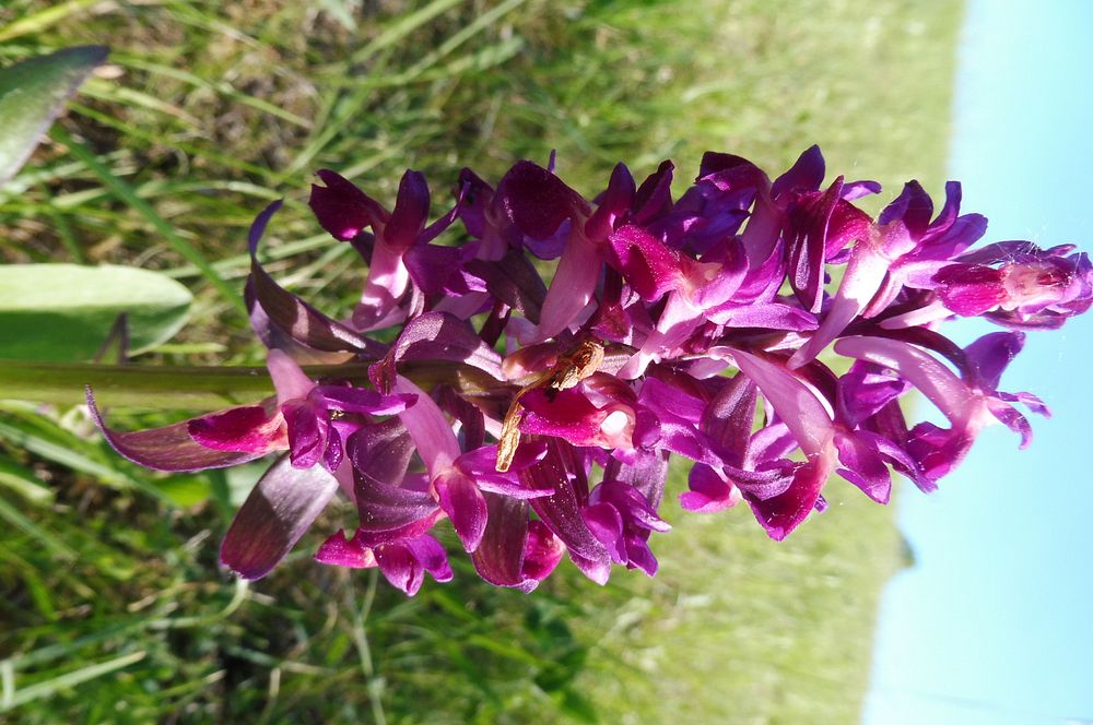  Loukami Bílých Karpat na Velkou Javořinu  