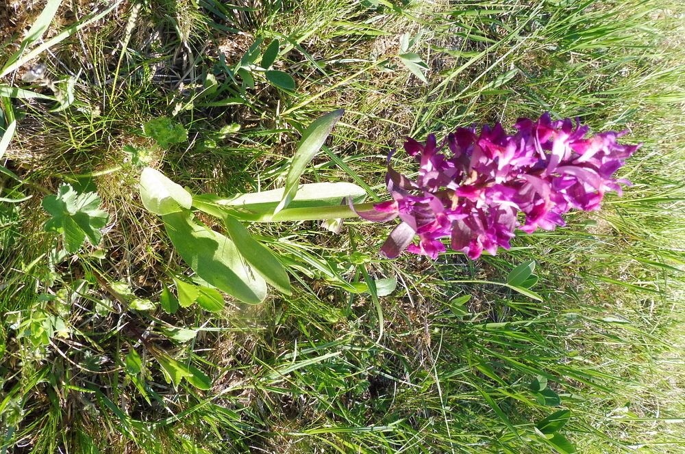  Loukami Bílých Karpat na Velkou Javořinu  