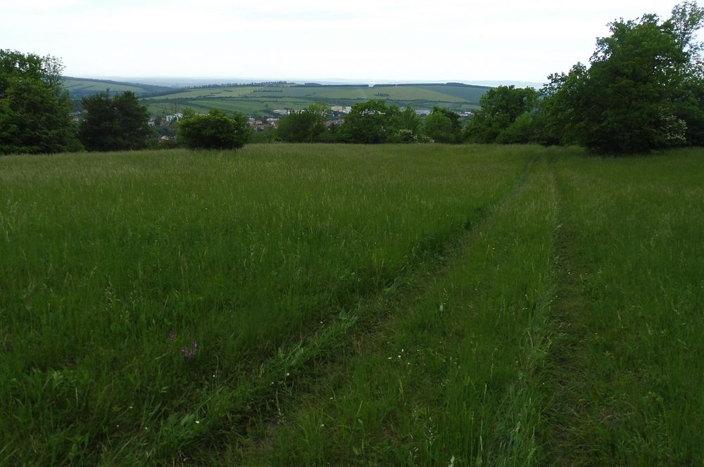  Loukami Bílých Karpat na Velkou Javořinu  