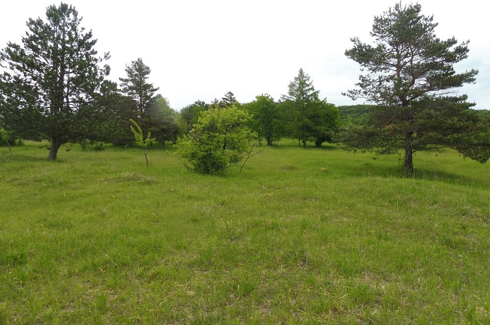  Loukami Bílých Karpat na Velkou Javořinu  