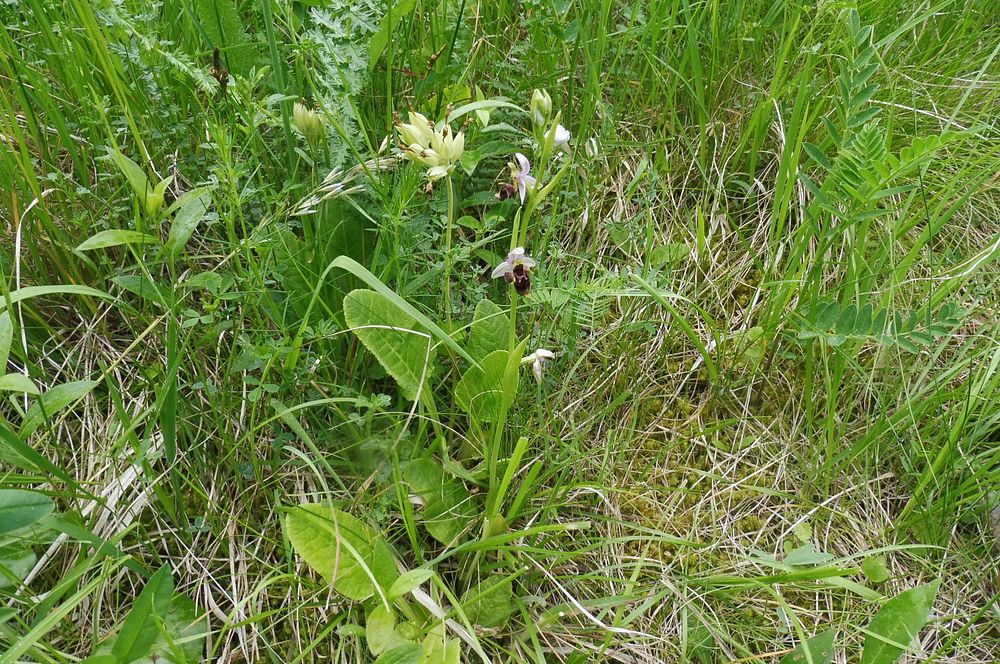 Loukami Bílých Karpat na Velkou Javořinu  