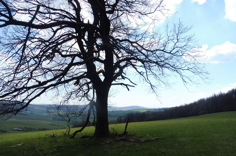 Žalostinská vrchovina