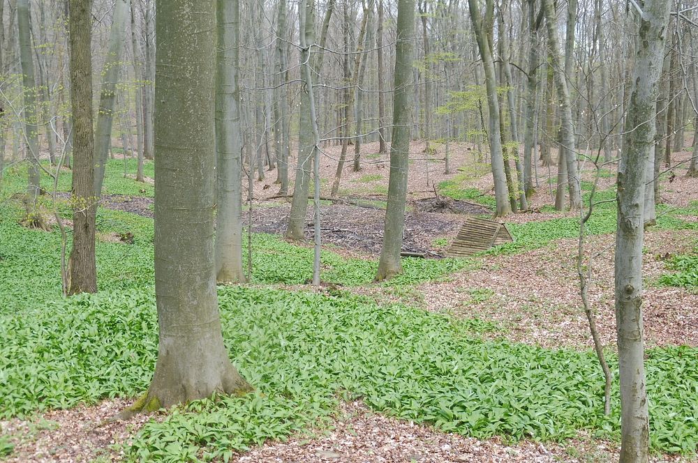 Žalostinská vrchovina