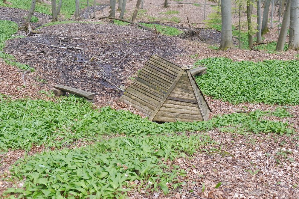 Žalostinská vrchovina