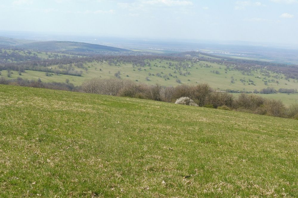 Žalostinská vrchovina