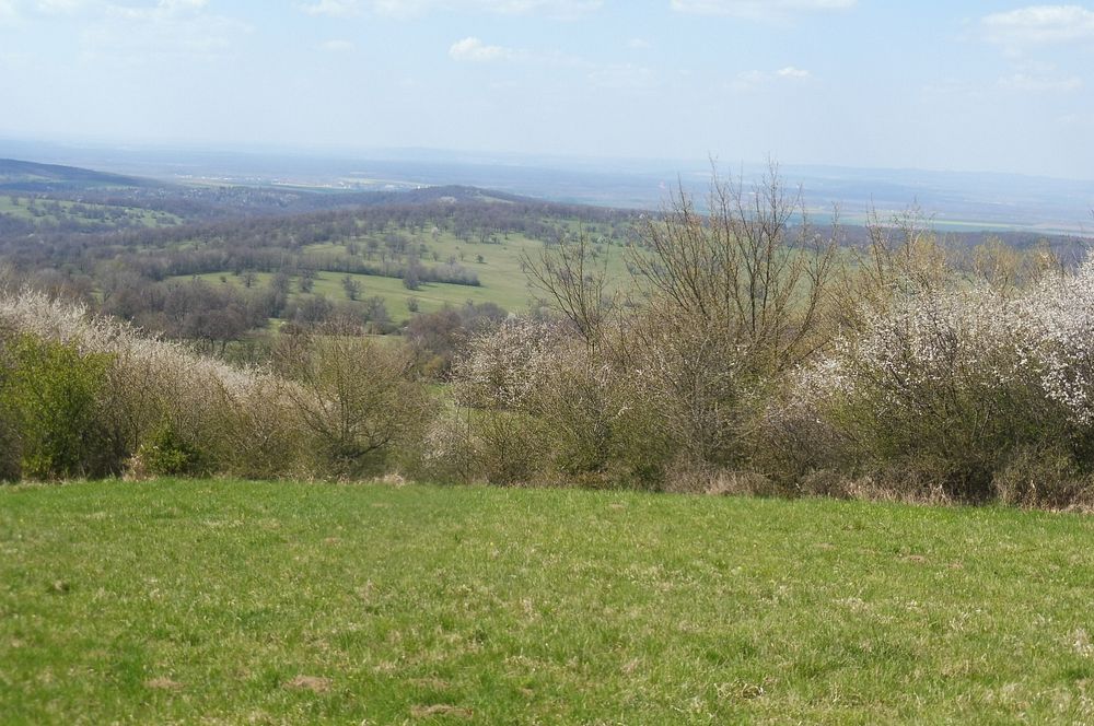 Žalostinská vrchovina