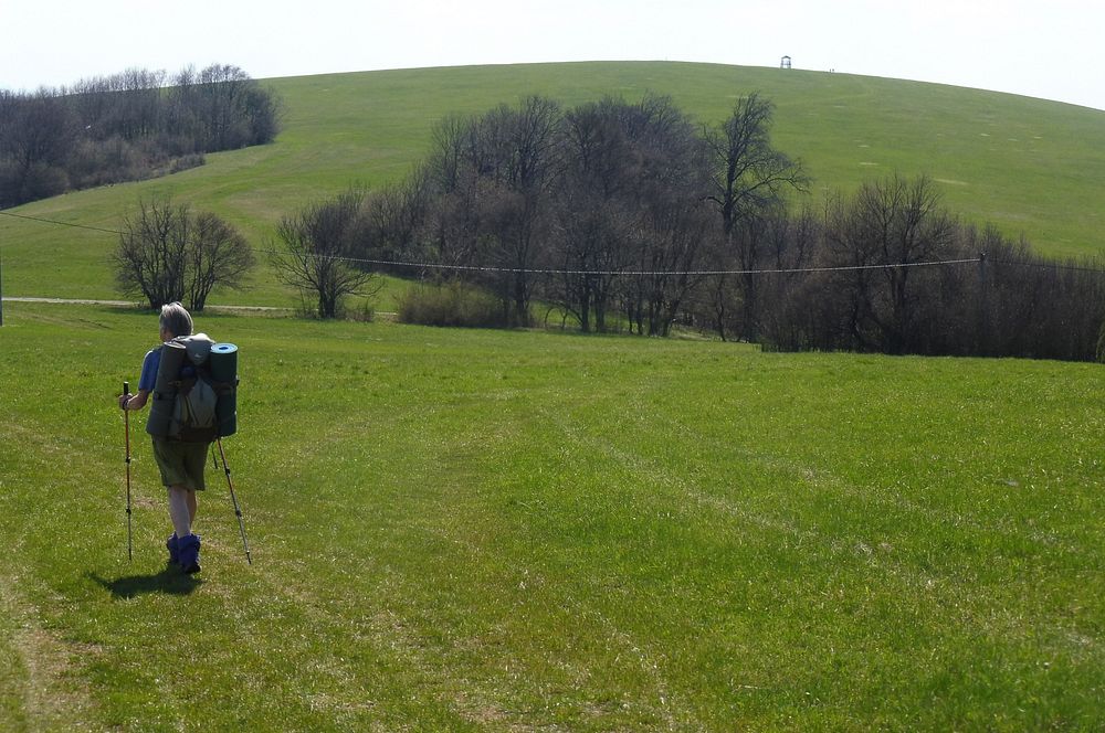 Žalostinská vrchovina