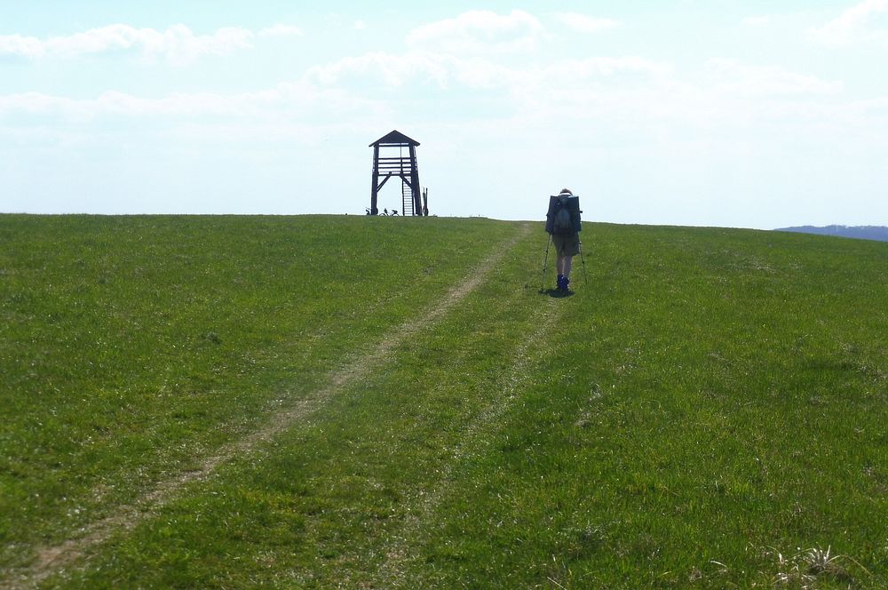 Žalostinská vrchovina