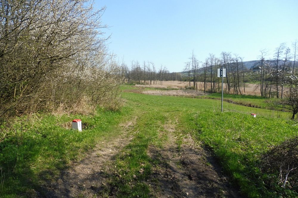 Žalostinská vrchovina