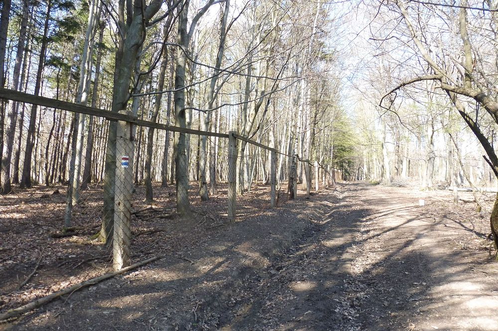 Žalostinská vrchovina