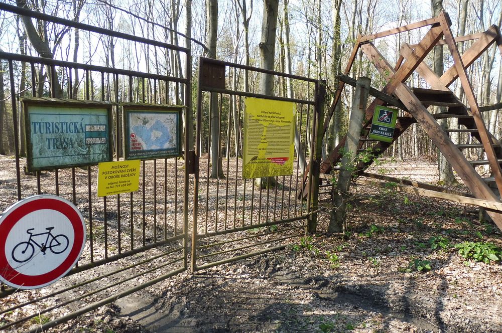 Žalostinská vrchovina