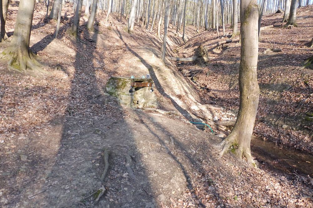 Žalostinská vrchovina